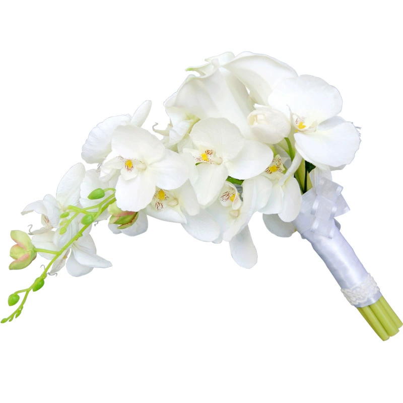 งานแต่งงานโรแมนติกฝรั่งเศสสีขา - Home Fragrance French บทวิจารณ์และราคา