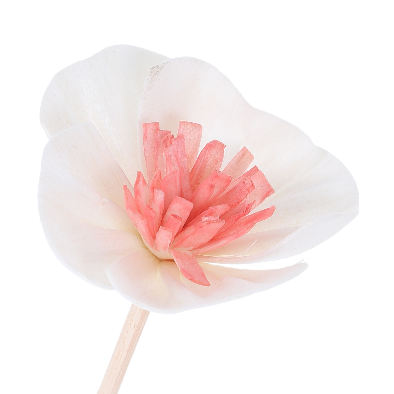 แท่งกระจายกลิ่นน้ำมันหอมระเหย  - Home Fragrance Diffuser Oil บทวิจารณ์และราคา